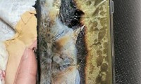 Note 7电池爆炸或遭召回 供应链掀风暴