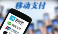 2016年支付业务统计数据：移动支付笔数涨85.82%