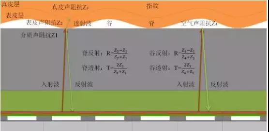 三星S10超声波指纹供应商曝光：高通方案/GIS欧菲科技供模组