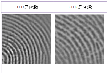 博观约取，厚积薄发—揭秘思立微LCD屏下指纹方案